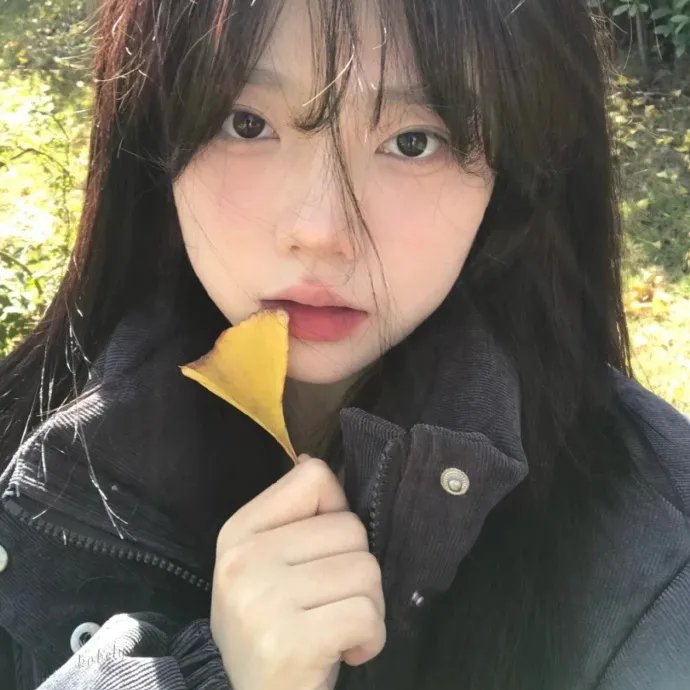为了姐妹